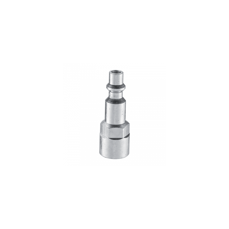 femelle 1/4G