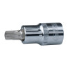 douille torx 55