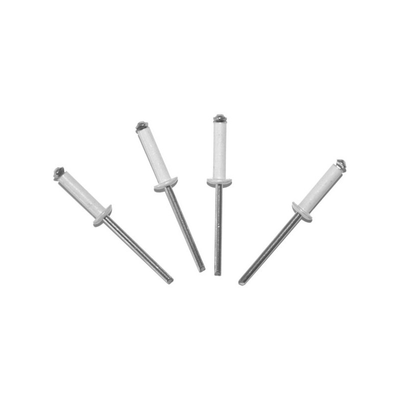 4 rivets plaques immat