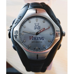 montre Viking